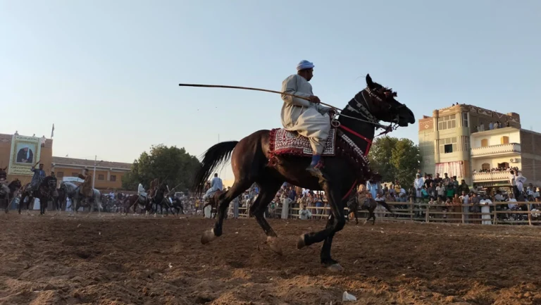 Marmah in the Prophets birthday celebrations in the village of Manshaat Al Amari Photo Abu Al Hassan Abdulstar