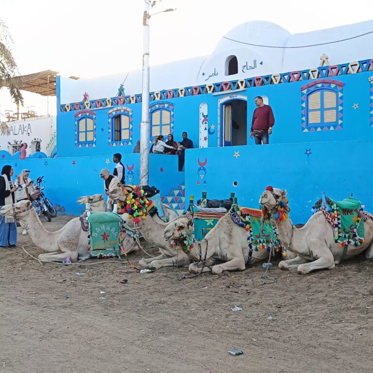 nubia1